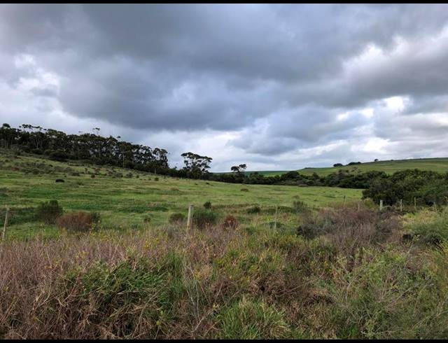 LAND FOR SALE IN BAARDSKEERDERSBOS